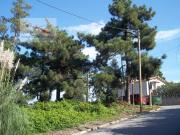 Terreno en venta en Lloret de Mar