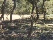 Terreno en Venta en Lloret de Mar