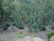 Terreno en venta en Lloret de Mar, de 800 m² por 70.000