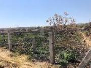 Terreno en venta en Lo de Juárez, Irapuato, Guanajuato