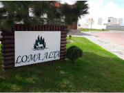 Terreno en venta en Loma Alta, Arteaga, Coahuila de Zaragoza