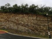 TERRENO EN VENTA EN LOMA BONITA