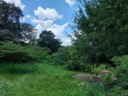 TERRENO EN VENTA EN LOMA BONITA TERAN