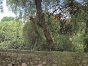 Terreno en venta en Lomas de Ahuatlan