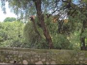 Terreno en venta en Lomas de Ahuatlan