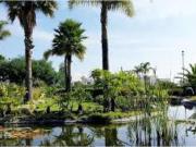 Terreno en venta en Lomas de Angelópolis, San Andrés...