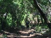 Terreno en venta en Lomas de Atzingo, Cuernavaca, Morelos