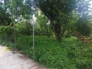 Terreno en venta en Lomas de Chapultepec, Miguel...