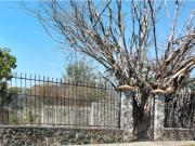 Terreno en venta en Lomas de Jiutepec, Jiutepec, Morelos