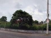 Terreno en Venta en Lomas de la Selva, Cuernavaca