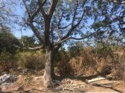 Terreno en venta en Lomas de Vista Hermosa, Cuernavaca,...