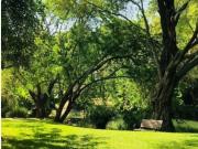 Terreno en venta en Lomas Del Bosque, Zapopan, Jalisco