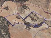 Terreno en Venta en Lorca