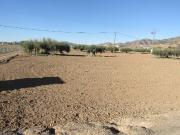 Terreno en Venta en Lorca