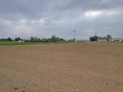 Terreno en Venta en Lorca