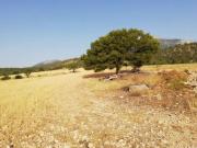 Terreno en Venta en Lorca