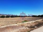 Terreno en Venta en Lorca