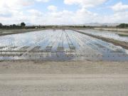 Terreno en Venta en Lorca