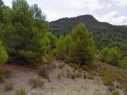 Terreno en Venta en Lorca