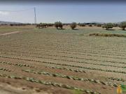 Terreno en Venta en Lorca