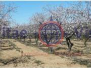 Terreno en Venta en Lorca