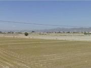 Terreno en Venta en Lorca