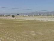 Terreno en Venta en Lorca