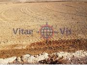 Terreno en Venta en Lorca