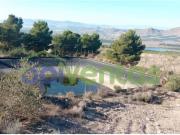 Terreno en Venta en Lorca