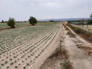 Terreno en Venta en Lorca