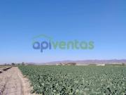 Terreno en Venta en Lorca