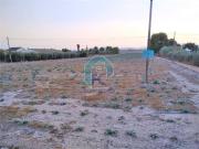 Terreno en Venta en Lorca