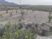 Terreno en Venta en Lorca