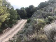 Terreno en Venta en Lorca