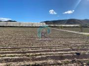 Terreno en Venta en Lorca