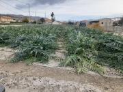 Terreno en Venta en Lorca