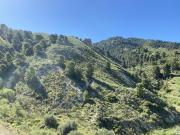 Terreno en venta en Lorca, La Hoya Almendricos Purias
