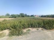 Terreno en Venta en Lorquí