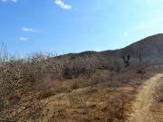 Terreno en venta en Los Cerritos, La Paz, Baja...