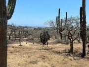 Terreno en venta en Los Cerritos, La Paz, Baja...
