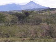 Terreno en venta en Los Colomos, Comala, Colima