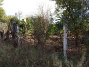 Terreno en venta en Los Encinos, Sata María, cercano a...