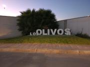 TERRENO EN VENTA EN LOS OLIVOS, GÓMEZ PALACIO,DGO