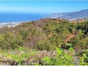 Terreno en Venta en Los Realejos