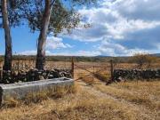 Terreno en venta en los Sauces a 5 minutos de la...