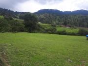 Terreno en venta en los Saúcos, Valle de Bravo