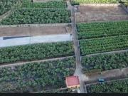 Terreno en venta en Los Silos