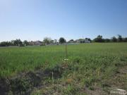 Terreno en Venta en Lucena
