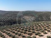 Terreno en Venta en Lucena