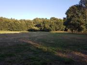 Terreno en Venta en Lugo